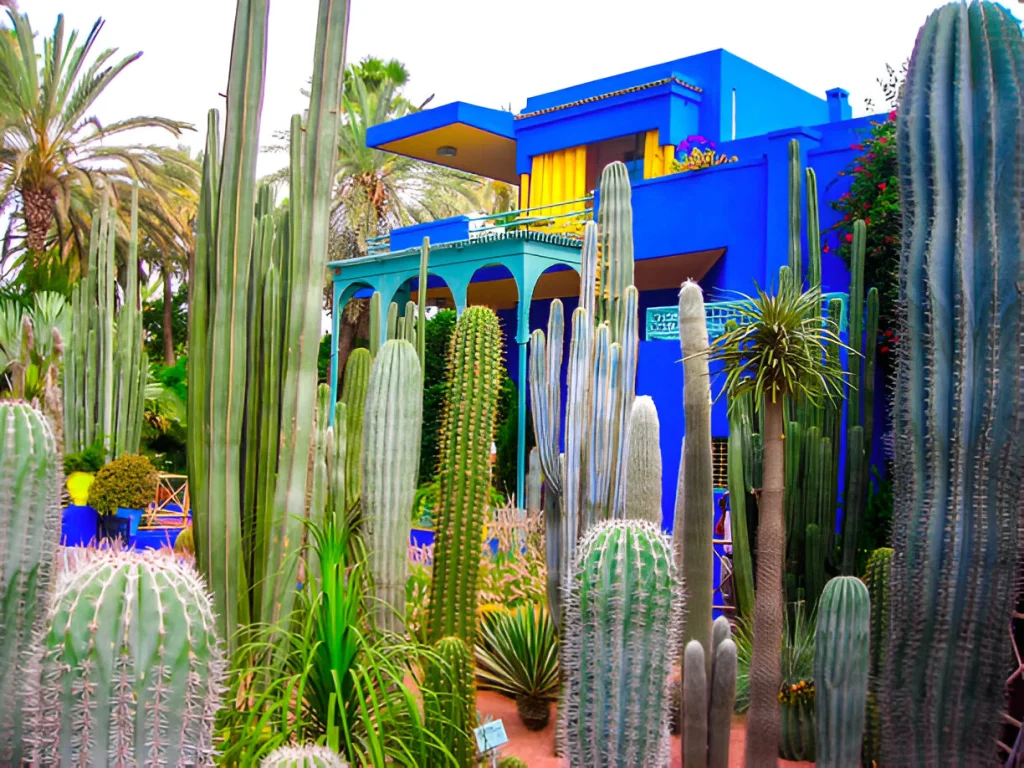 Majorelle Garden