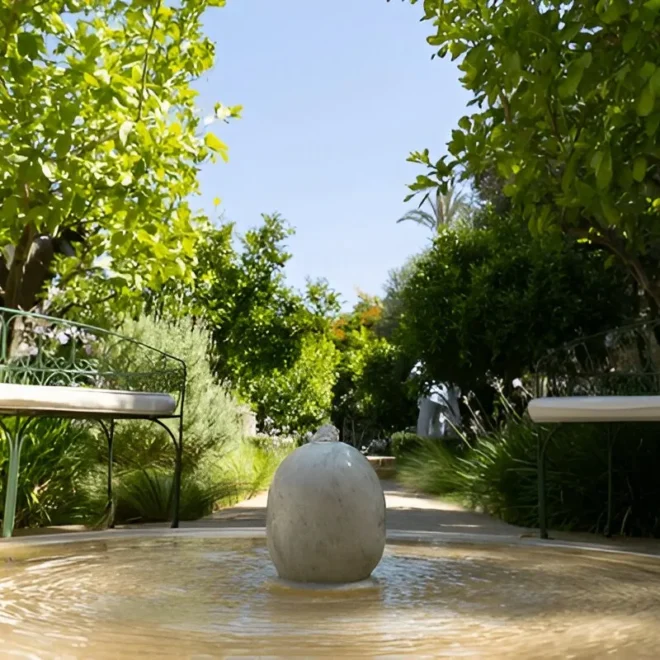 Gardens Marrakech: Your Complete Guide to the Red City’s Green Oases